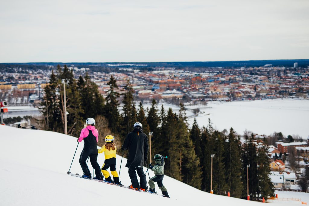 Utsikt i Gustavsbergsbacken mot Östersund- Familjevänligt även för vuxna.